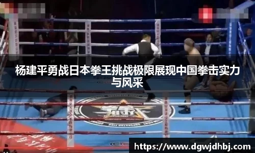 杨建平勇战日本拳王挑战极限展现中国拳击实力与风采